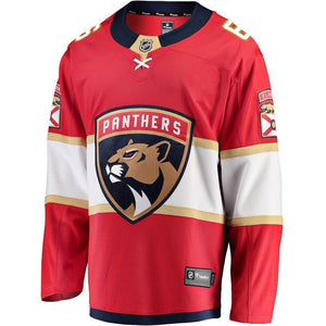 Alexander Petrovic Florida Panthers Player Swingman Jersey